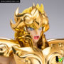 saint_cloth_myth_ex_leo_aioria_oce_09