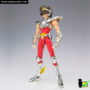 saint_cloth_myth_ex_pegaso_seiya_02