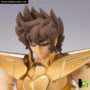 saint_cloth_myth_ex_pegaso_seiya_40_aniv_07