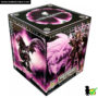 saint_cloth_myth_ex_wyvern_radamanthys_box_02