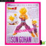 sh_figuarts_sdcc_2012_super_saiyan_gohan_box_03