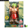 sh_figuarts_sdcc_2016_broly_box_01