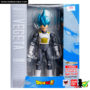 sh_figuarts_super_saiyan_god_vegeta_box_01