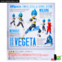 sh_figuarts_super_saiyan_god_vegeta_box_02