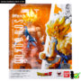 sh_figuarts_super_warrior_awakening_goku_box_01