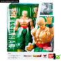 sh_figuarts_ten_shin_han_box_01