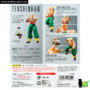 sh_figuarts_ten_shin_han_box_02