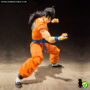 sh_figuarts_yamcha_03