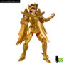 saint_seiya_anime_heroes_sagitario_aioros_03