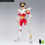 saint_cloth_myth_ex_pegaso_seiya_v3_01