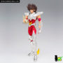 saint_cloth_myth_ex_pegaso_seiya_v3_05