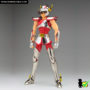 saint_cloth_myth_pegaso_seiya_v1_02