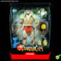 super7_thundercats_ultimates_monkian_10