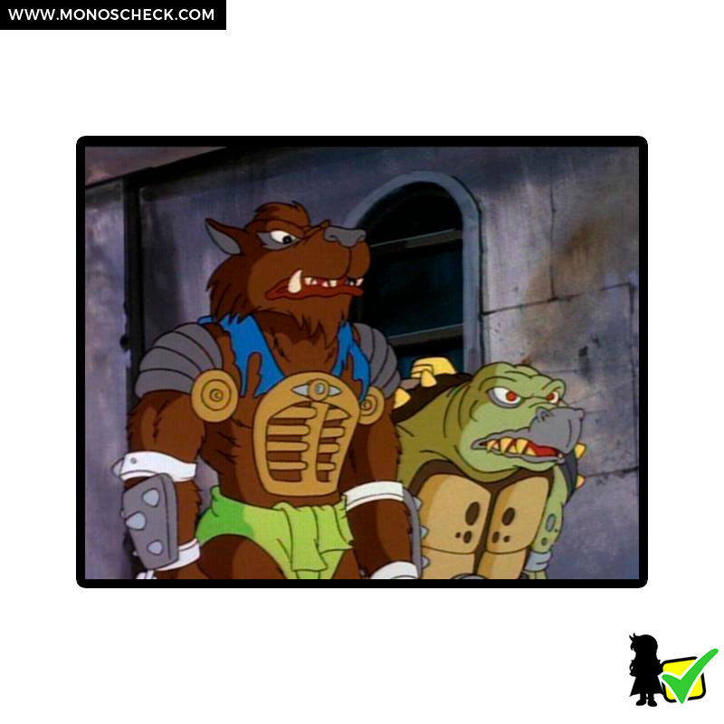 neca_tmnt_cartoon_neca_tokka_and_rahzar_16