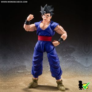 S.H.Figuarts Pan SUPER HERO - Image 7