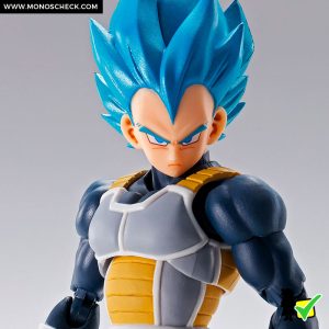 S.H.Figuarts Super Saiyan God Super Saiyan Vegeta -S.H.Figuarts 15th anniversary Ver.- - Image 7