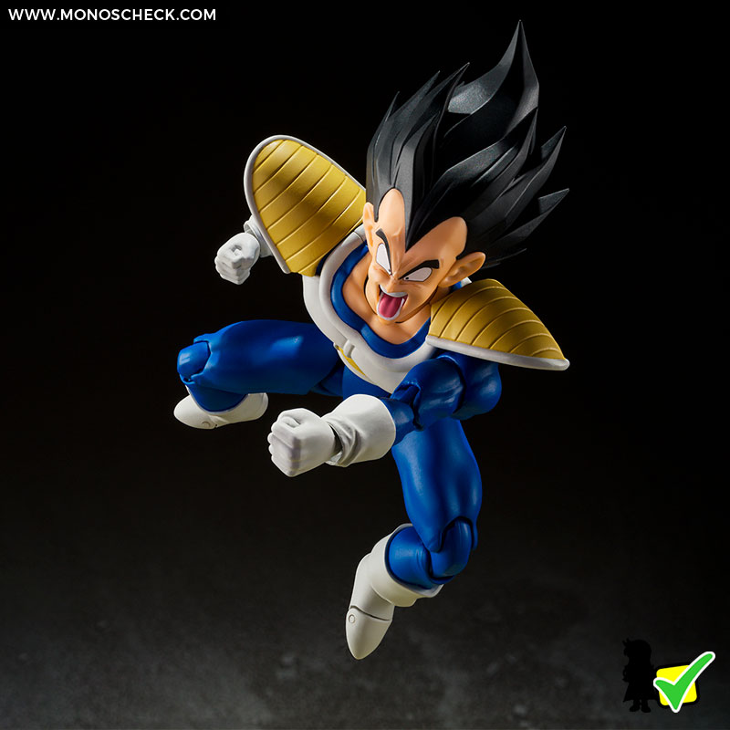 sh_figuarts_Vegeta_24000_Power_Level_02