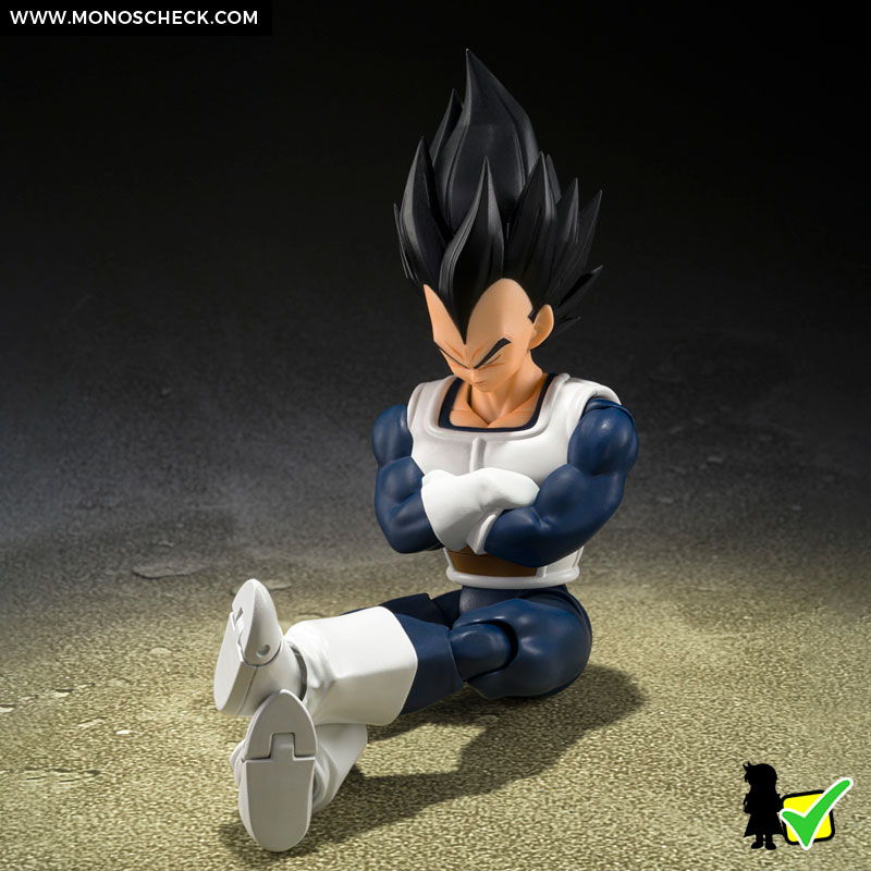 sh_figuarts_Vegeta_Older_Style_Battle_Clothes_02